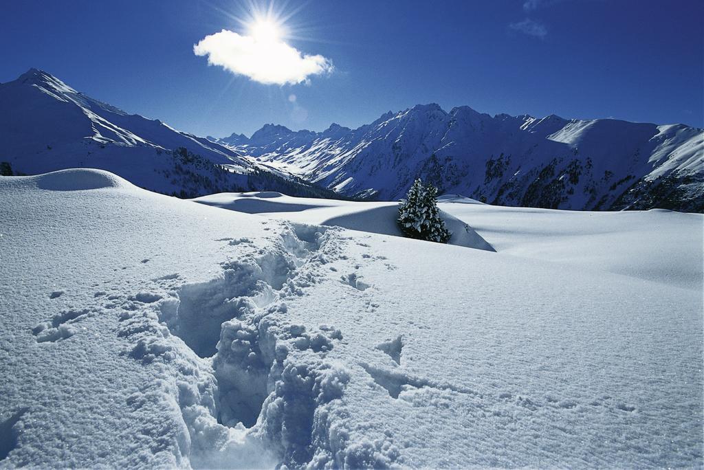 Silva Peak Residences Galtuer - Paznaun - Inkl Premium Silvretta Card Buitenkant foto